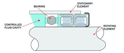 Centrifugal Non Contact Seal Diagram