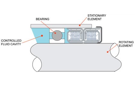 Non-contact seal diagram showing locations for controlled fluid cavity, bearing, and other elements.